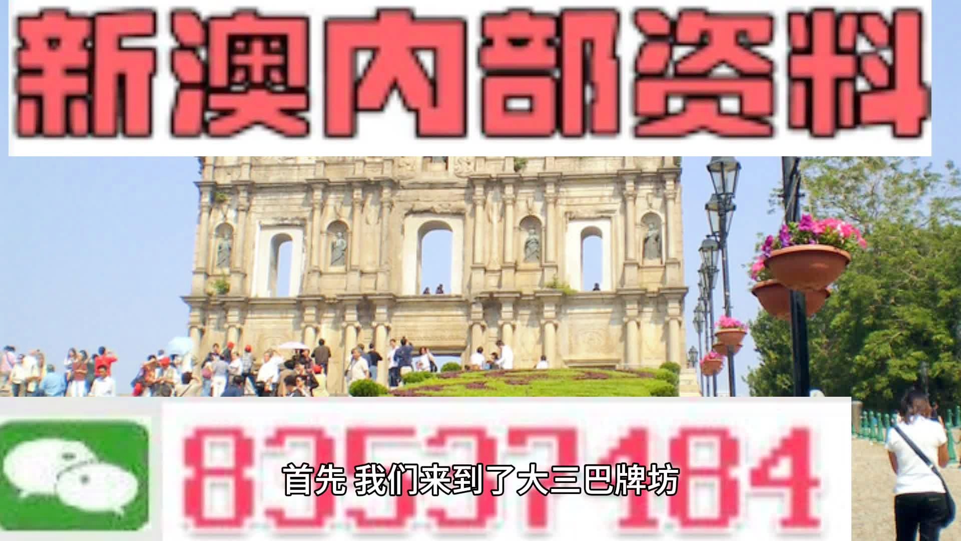 2025新澳今晚资料鸡号几号/词语释义解释落实