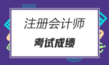 广东省cpa广东省CPA，注册会计师行业的蓬勃发展